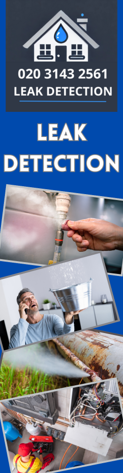 Warwick Avenue Leak Detection