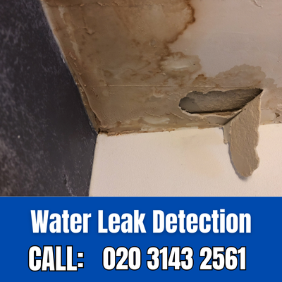 Expert Water Leak Detection Services in Warwick Avenue | Warwick Avenue Leak Detection